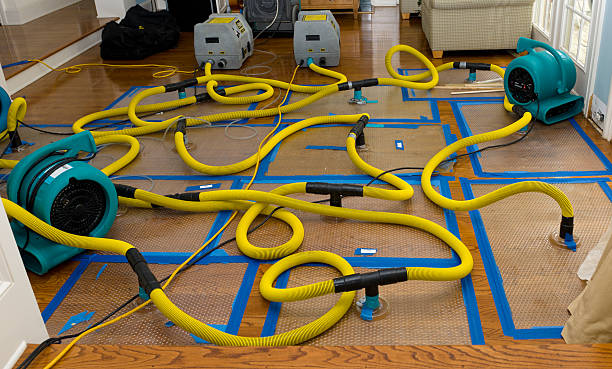 Professional Storm Water Damage Restoration technician working in Westport, TN